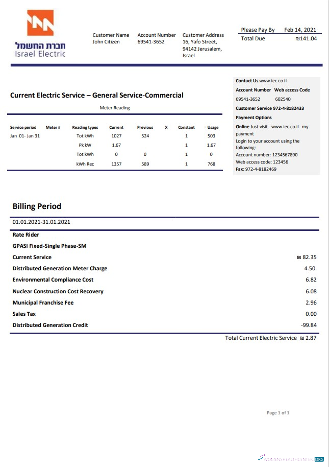 download Israel Electric Corporation utility bill template in Word and PDF format (.doc and .pdf) PDF template